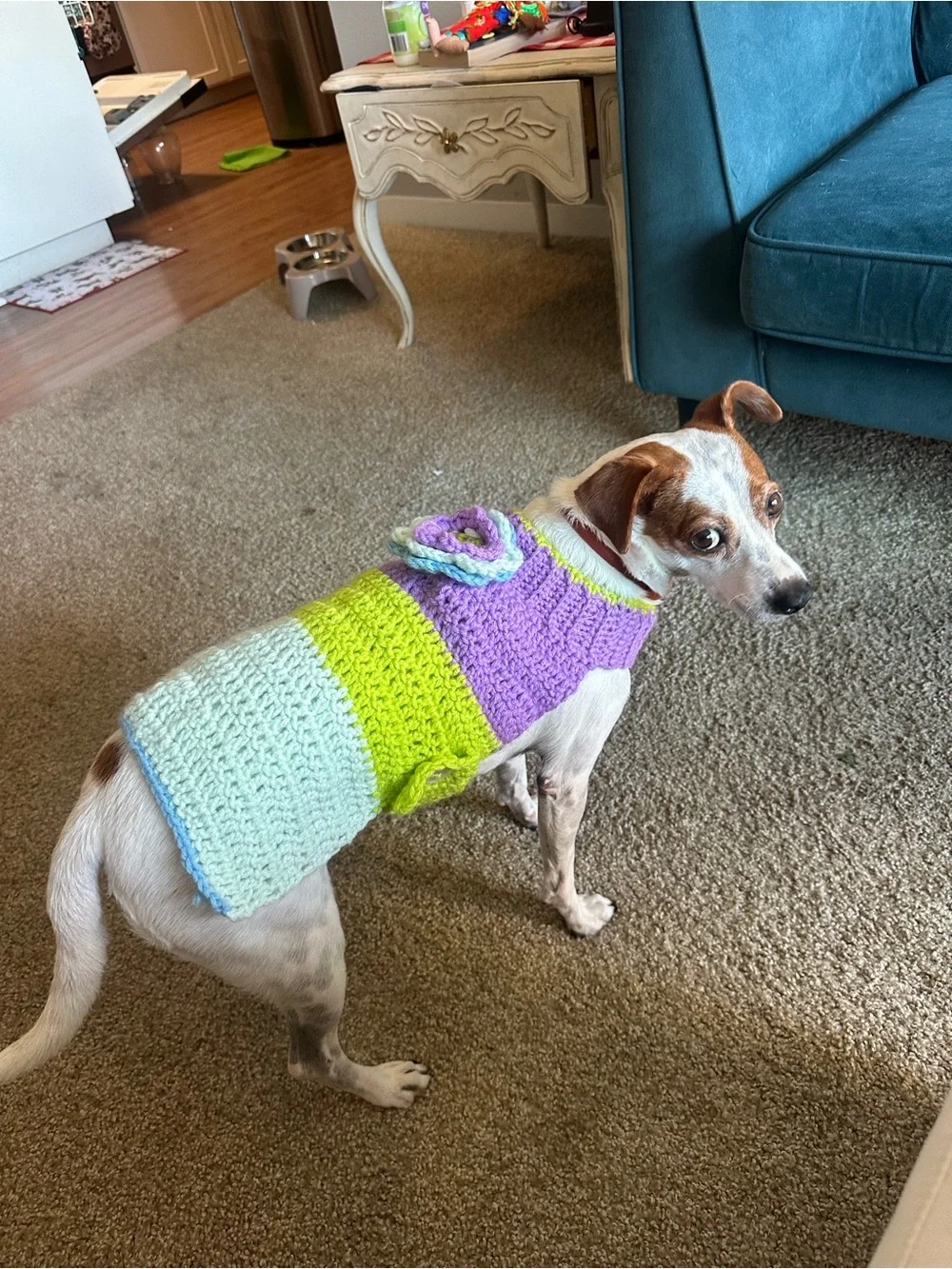 Handmade Pastel Crochet Dog Sweater - Purple, Lime & Mint